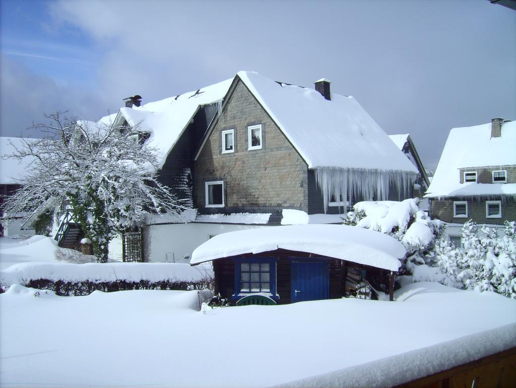 Ferienwohnung Boerner Winterberg Ngoại thất bức ảnh